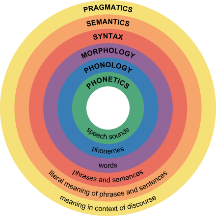 Levels of linguistic structure showing discourse at top, followed by syntax, morphology, and phonology levels